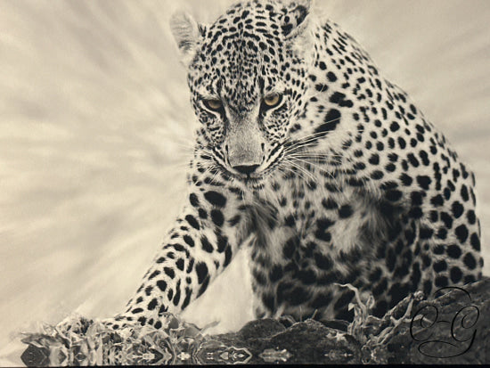Black & White Leopard Picture In Brown Frame 33x23’’ Picture