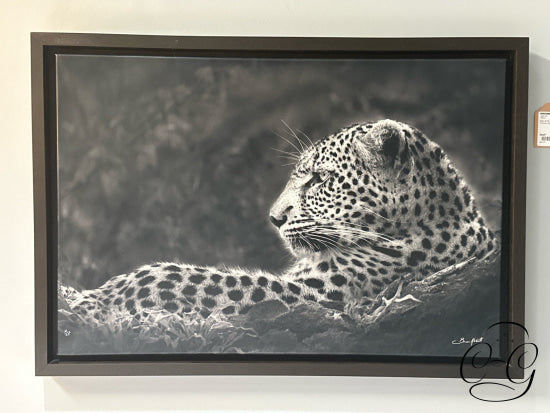 Black & White Leopard Picture In Brown Frame 33x23’’ Picture