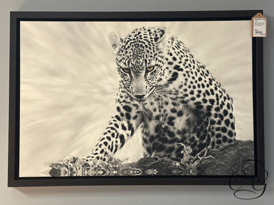 Black & White Leopard Picture In Brown Frame 33x23’’ Picture