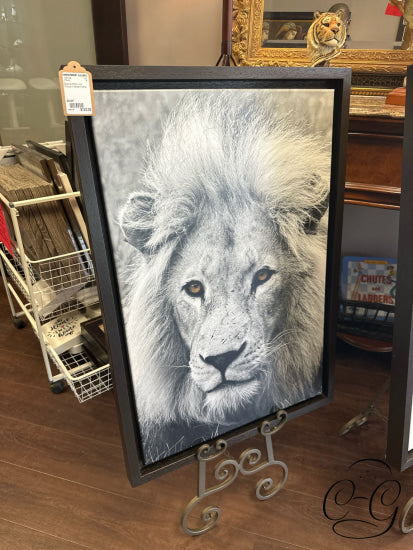 Black & White Lion Picture In Brown Frame 23x33’’ Picture