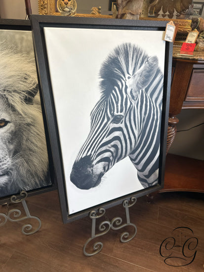 Black & White Zebra Picture In Brown Frame 23x33’’ Picture