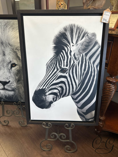 Black & White Zebra Picture In Brown Frame 23x33’’ Picture