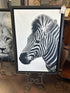 Black & White Zebra Picture In Brown Frame 23x33’’ Picture