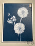 Blue & White Dandelion Picture