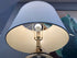 Bubbled Round Glass Body Brushed Bronze Metal Table Lamp