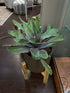 Cactus In Rnd Grey Resin Pot W/Wood Stand Greenery