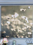 Canvas Picture White Daisies