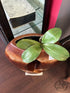 Ceramic Brown/Rust Floor Vase W/Cut Out Design 23x27’’ Vase