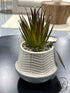 Cream & Blue Round Pot With Artificial Grass Greenery