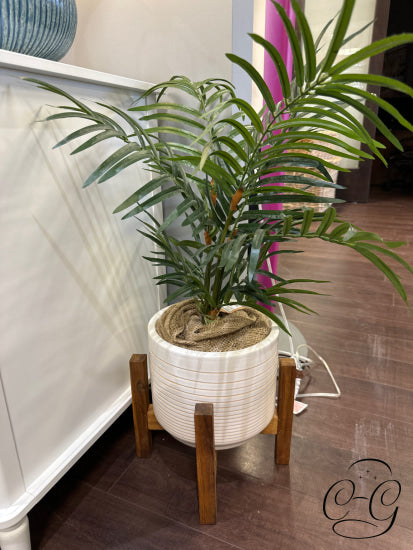 Faux Palm Tree In Cream Round Ceramic Pot With Wood Stand Greenery