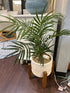 Faux Palm Tree In Cream Round Ceramic Pot With Wood Stand Greenery