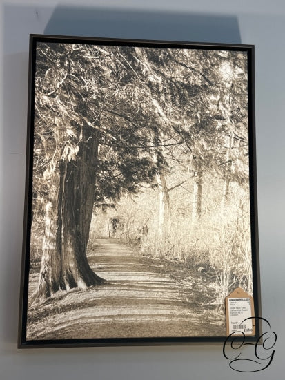 Giclee Sepia Trees Canvas Art Artist: Susann Sigmund Picture