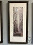 Rectangular Set Of 3 Sepia Toned Oak Tree/Poplar Tree Pictures 14x29’’ Picture
