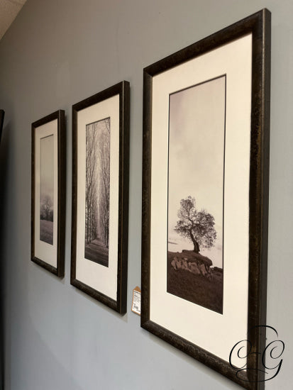 Rectangular Set Of 3 Sepia Toned Oak Tree/Poplar Tree Pictures 14x29’’ Picture