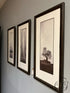 Rectangular Set Of 3 Sepia Toned Oak Tree/Poplar Tree Pictures 14x29’’ Picture