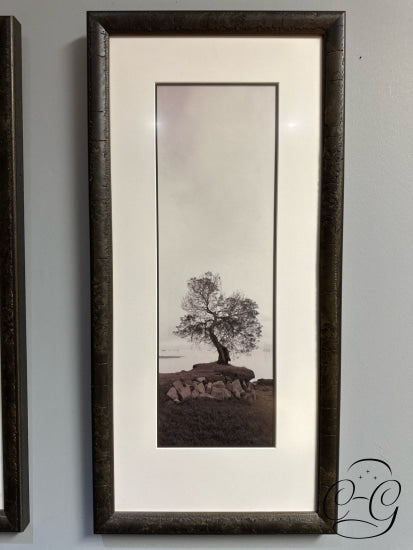 Rectangular Set Of 3 Sepia Toned Oak Tree/Poplar Tree Pictures 14x29’’ Picture