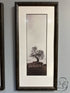Rectangular Set Of 3 Sepia Toned Oak Tree/Poplar Tree Pictures 14x29’’ Picture