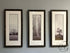 Rectangular Set Of 3 Sepia Toned Oak Tree/Poplar Tree Pictures 14x29’’ Picture