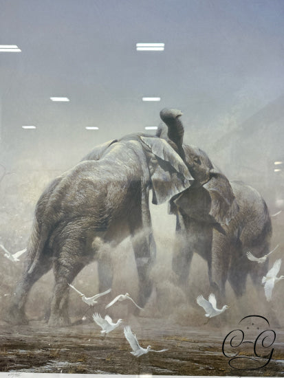 Robert Bateman Framed Art ’Sparring Elephants’ Ed. 76/950 34x40’’ Artwork