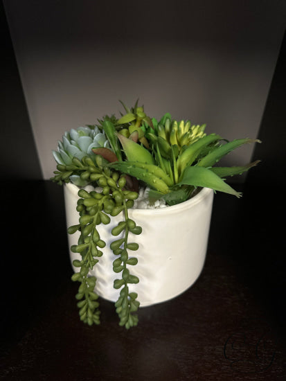 Round White Ceramic Pot With Artificial Mixed Cacti Greenery