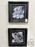 Set Of 2 White Flower Pictures In Dark Frame 17x17’’ Picture