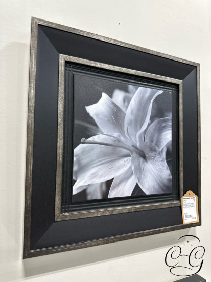 Set Of 2 White Flower Pictures In Dark Frame 17x17’’ Picture