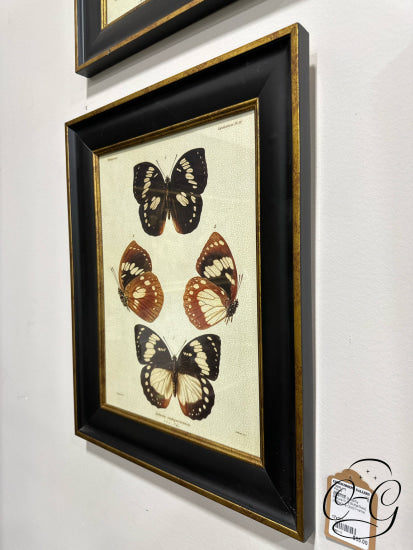Uttermost Botanical Butterfly Picture Iii (4 Butterflies) In Black & Gold Frame