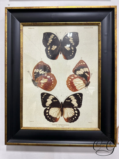 Uttermost Botanical Butterfly Picture Iii (4 Butterflies) In Black & Gold Frame