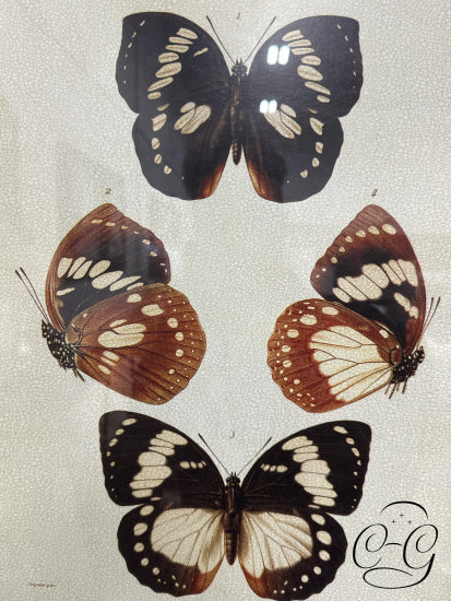 Uttermost Botanical Butterfly Picture Iii (4 Butterflies) In Black & Gold Frame