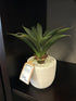 White Round Pot With Artificial Aloe Vera Stones Greenery
