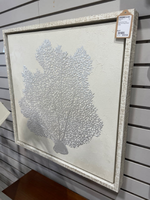 Silver Coral Image Picture