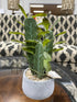 Silk Cactus In Concrete Planter Greenery